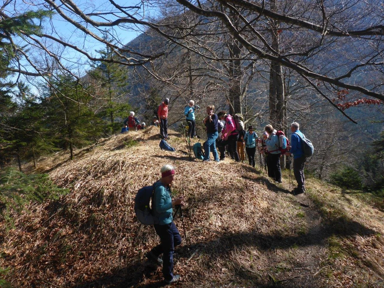Freimahderköpfl | © DAV Laufen