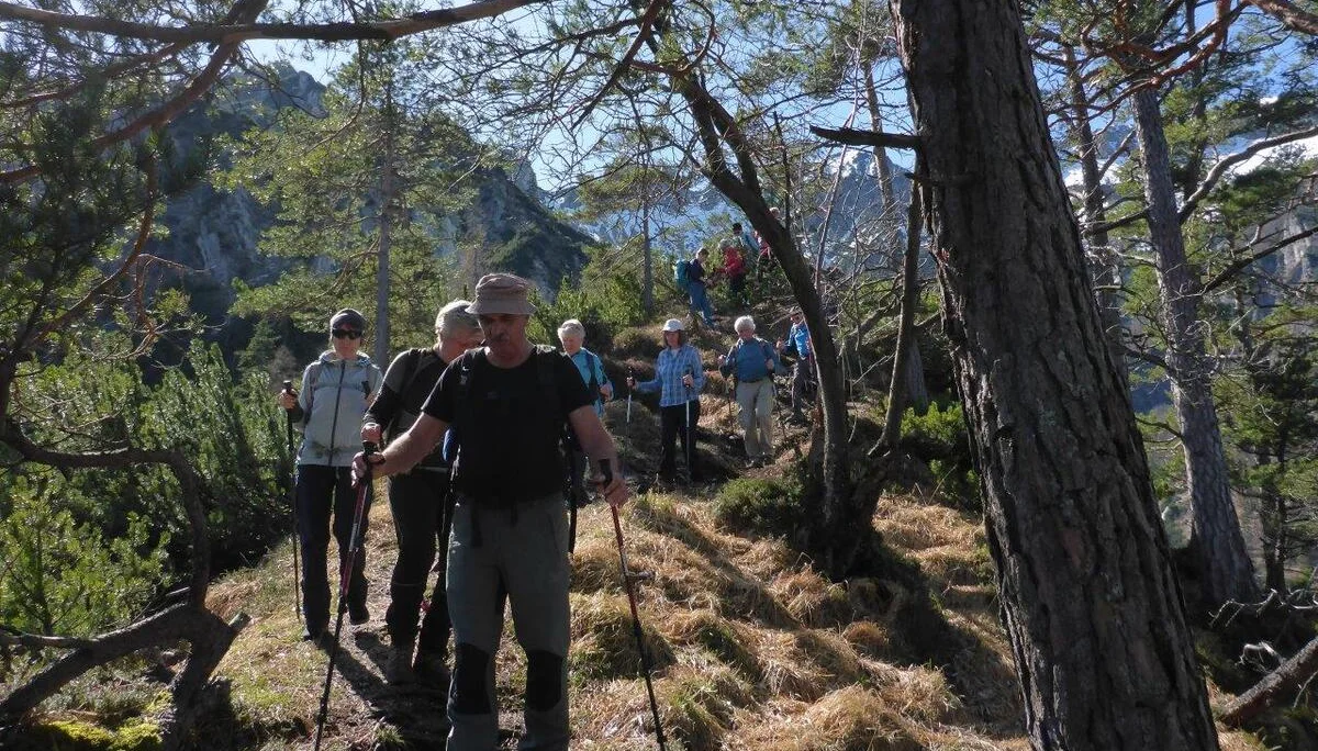 Freimahderköpfl | © DAV Laufen