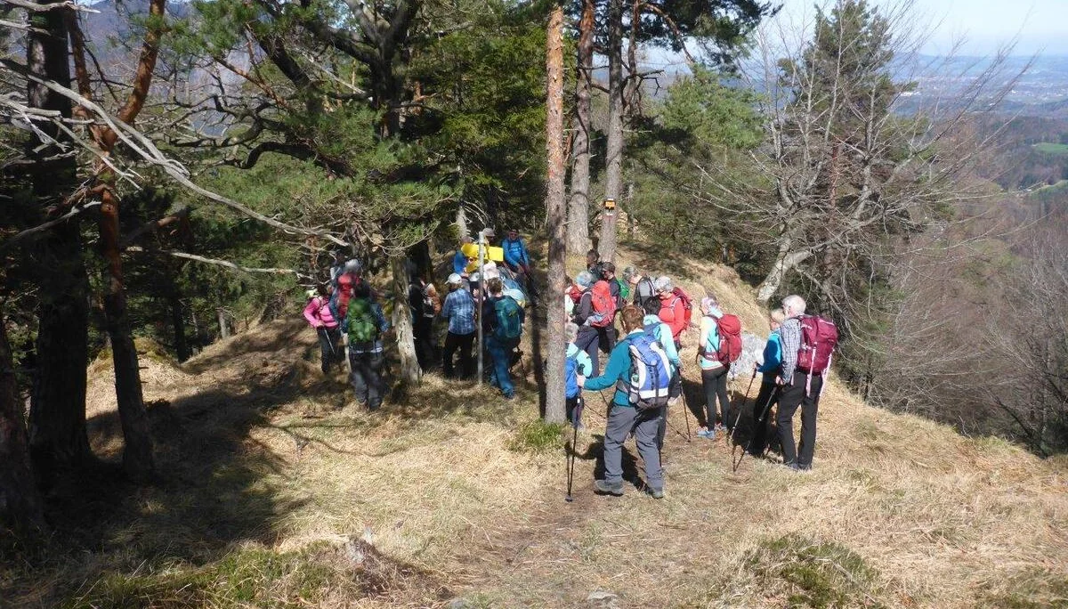 Freimahderköpfl | © DAV Laufen