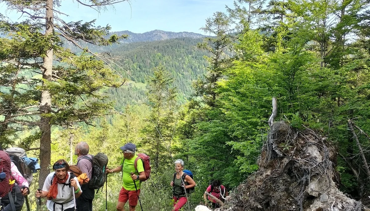 Gruenstein | © DAV Laufen