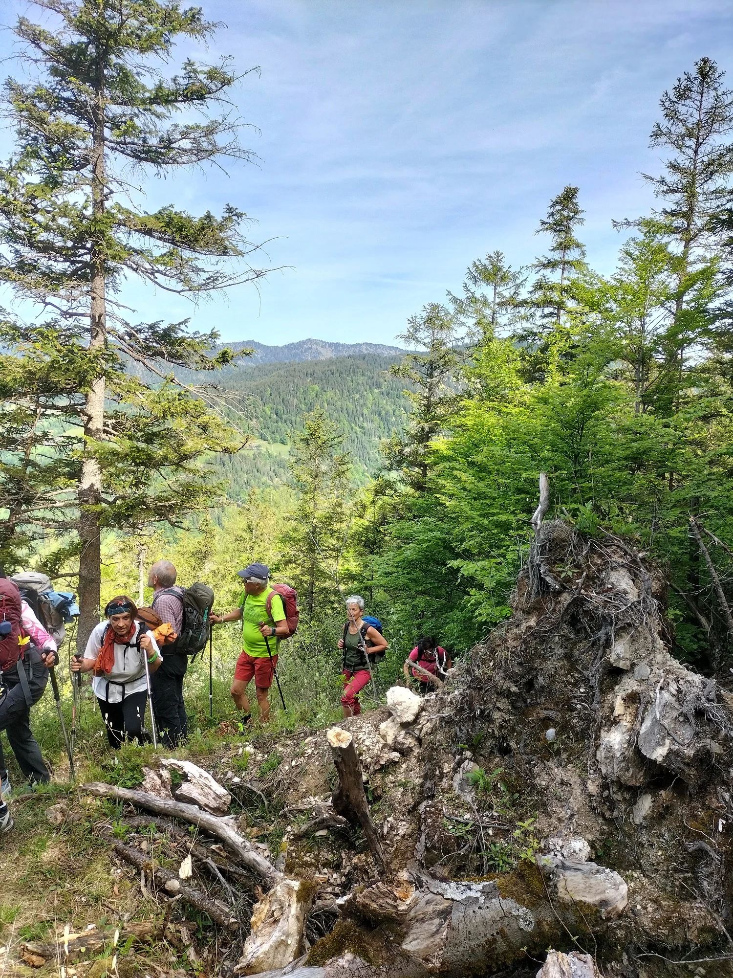 Gruenstein | © DAV Laufen