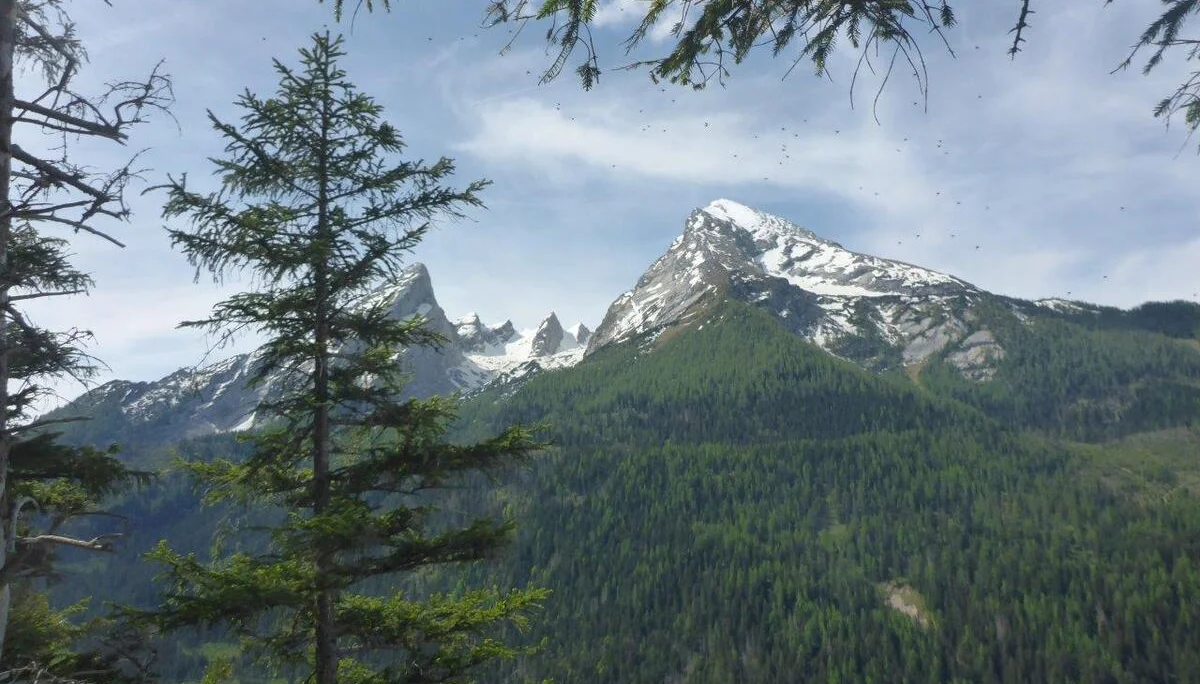 Gruenstein | © DAV Laufen