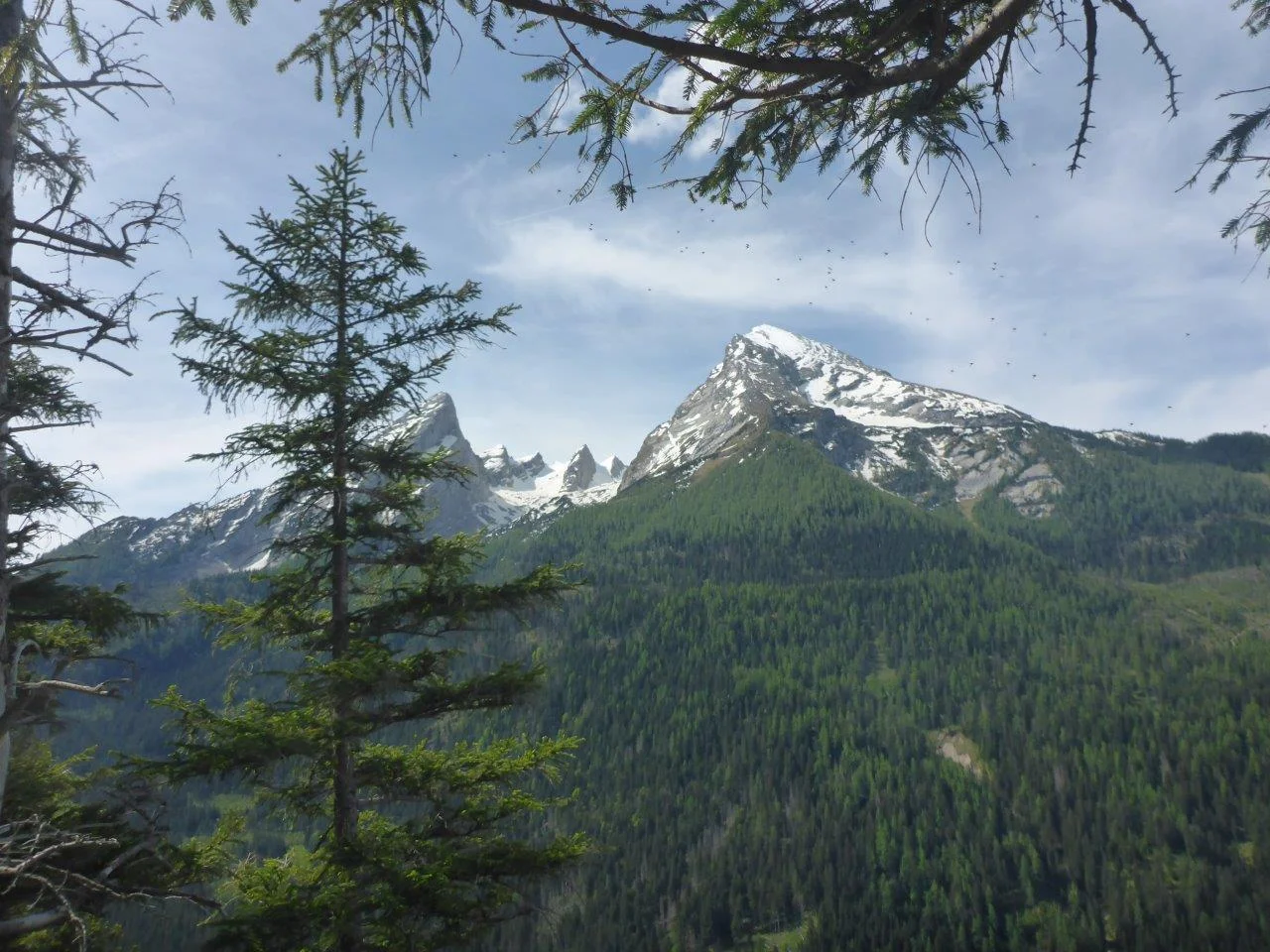 Gruenstein | © DAV Laufen