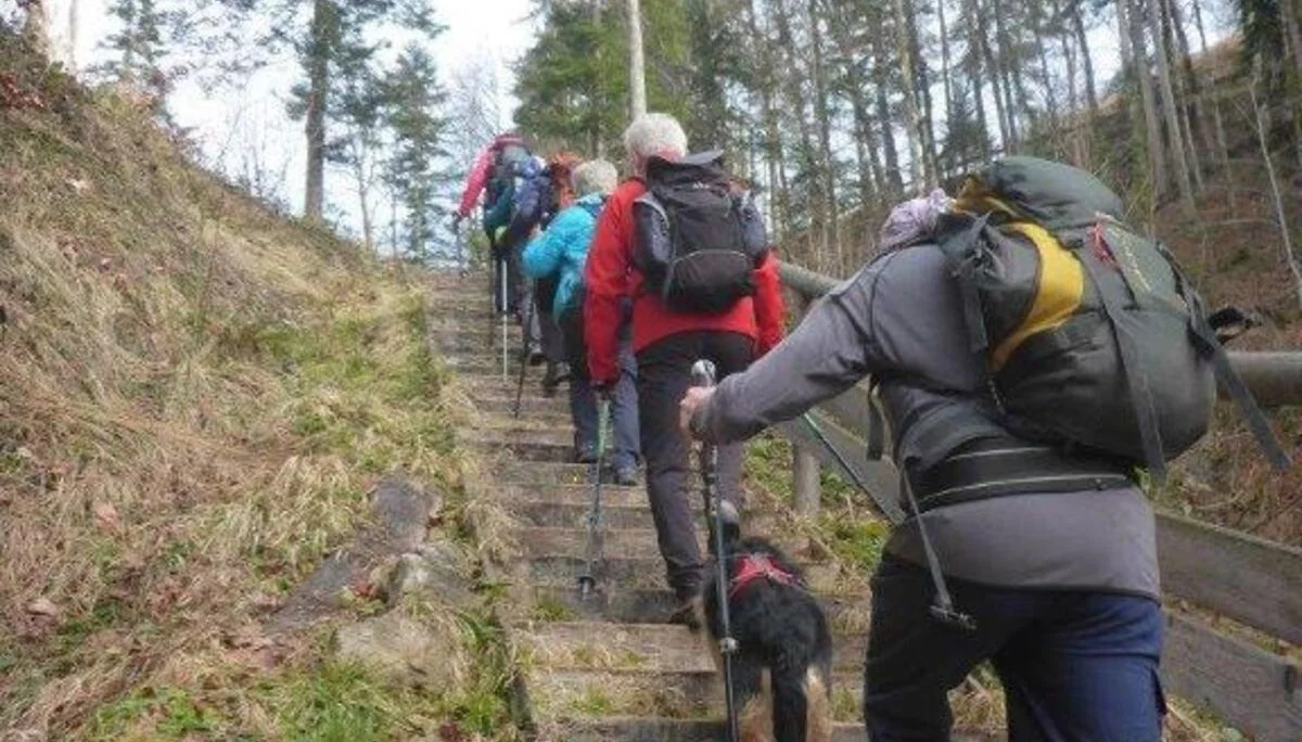 Kneifelspitze | © DAV Laufen