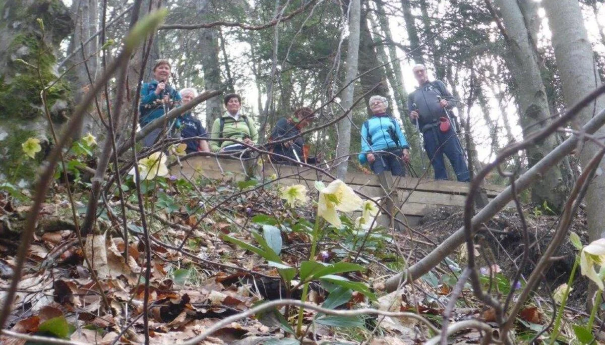 Kneifelspitze | © DAV Laufen