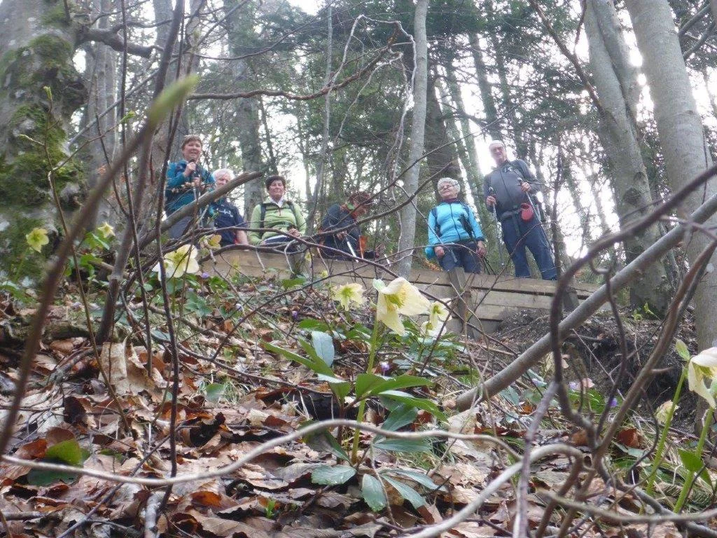 Kneifelspitze | © DAV Laufen