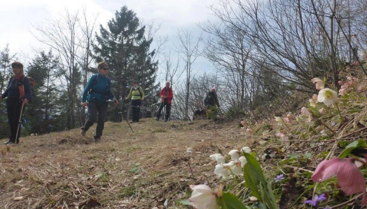 Kneifelspitze | © DAV Laufen