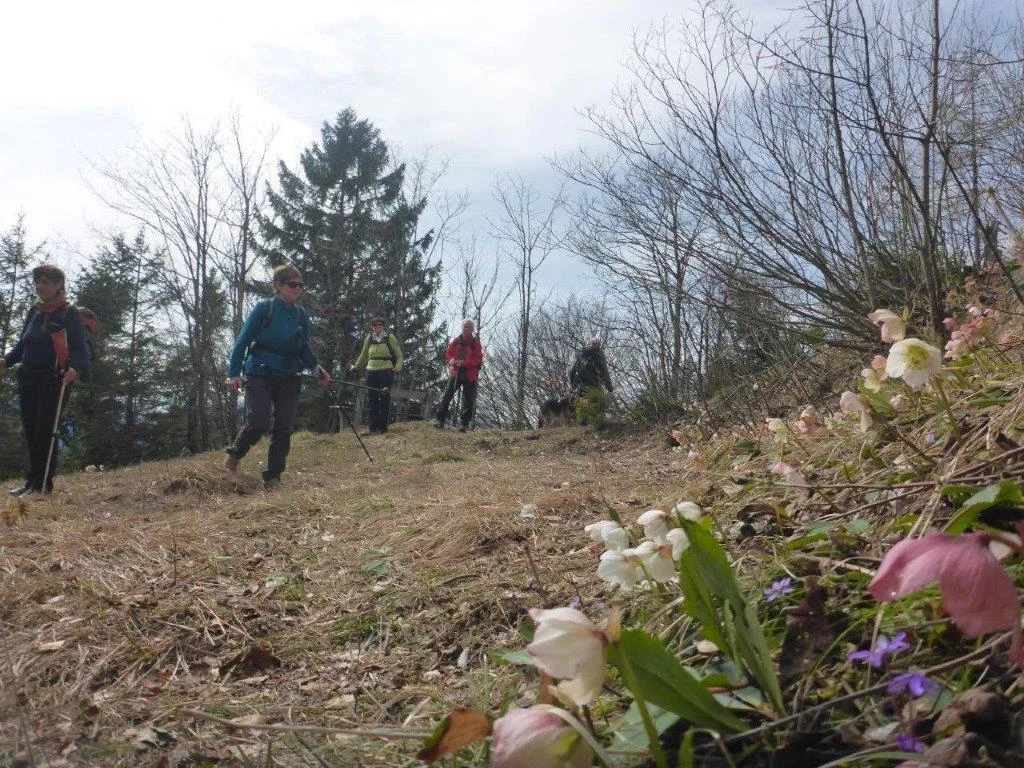 Kneifelspitze | © DAV Laufen