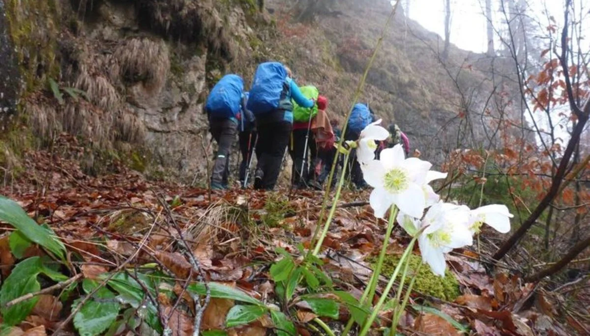 Marktschellenberg | © DAV Laufen