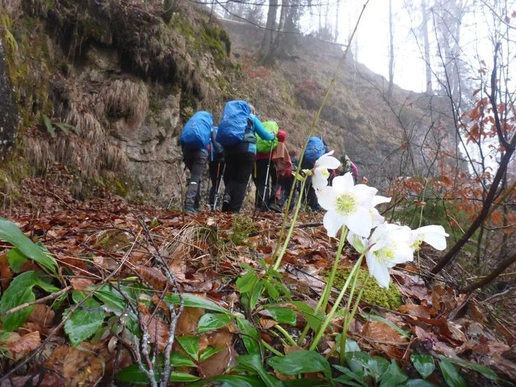 Marktschellenberg | © DAV Laufen