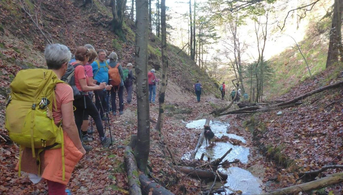 Nockstein | © DAV Laufen