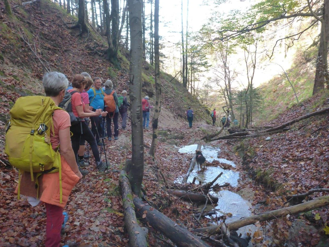 Nockstein | © DAV Laufen