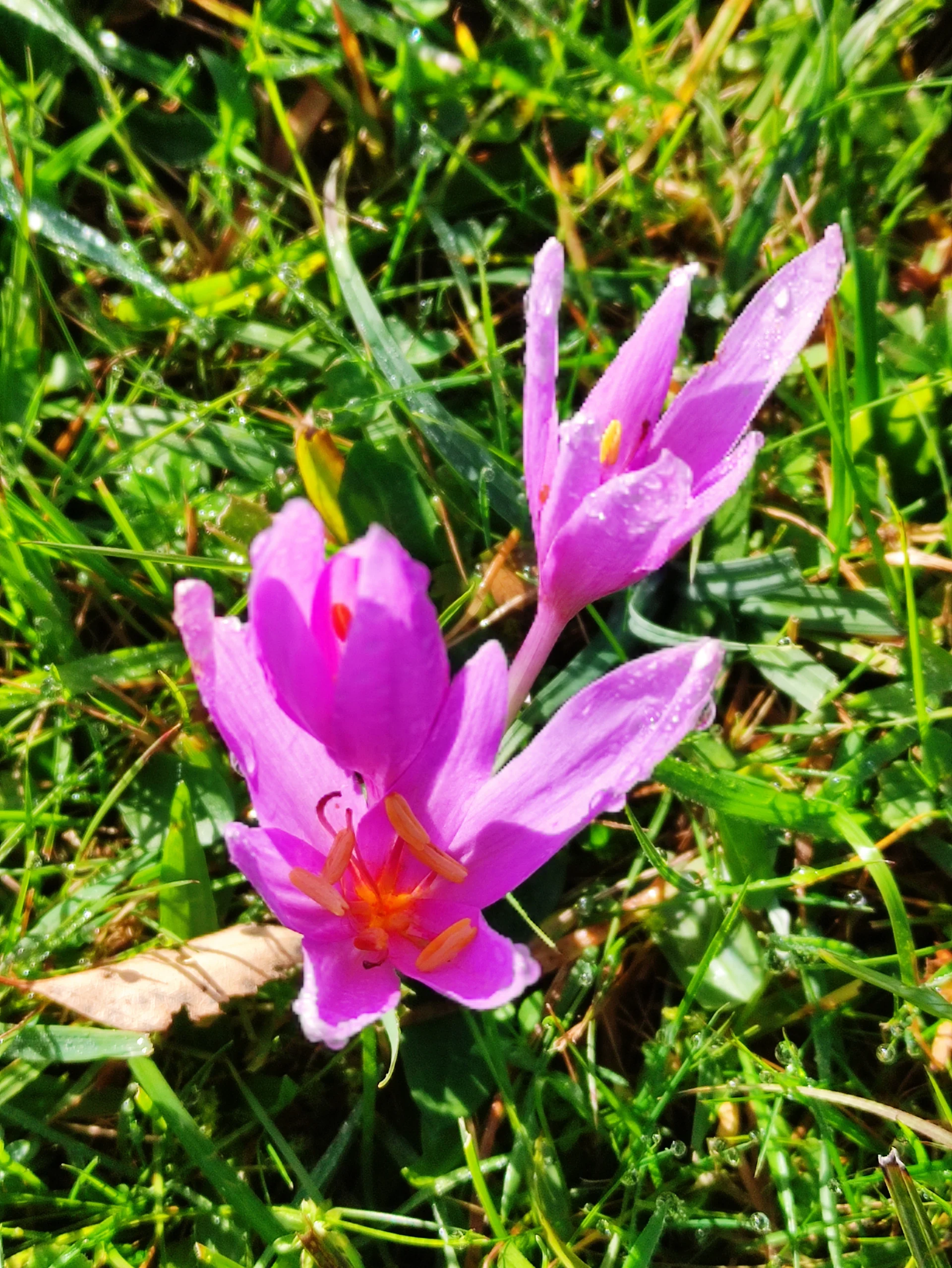 Nockstein | © DAV Laufen