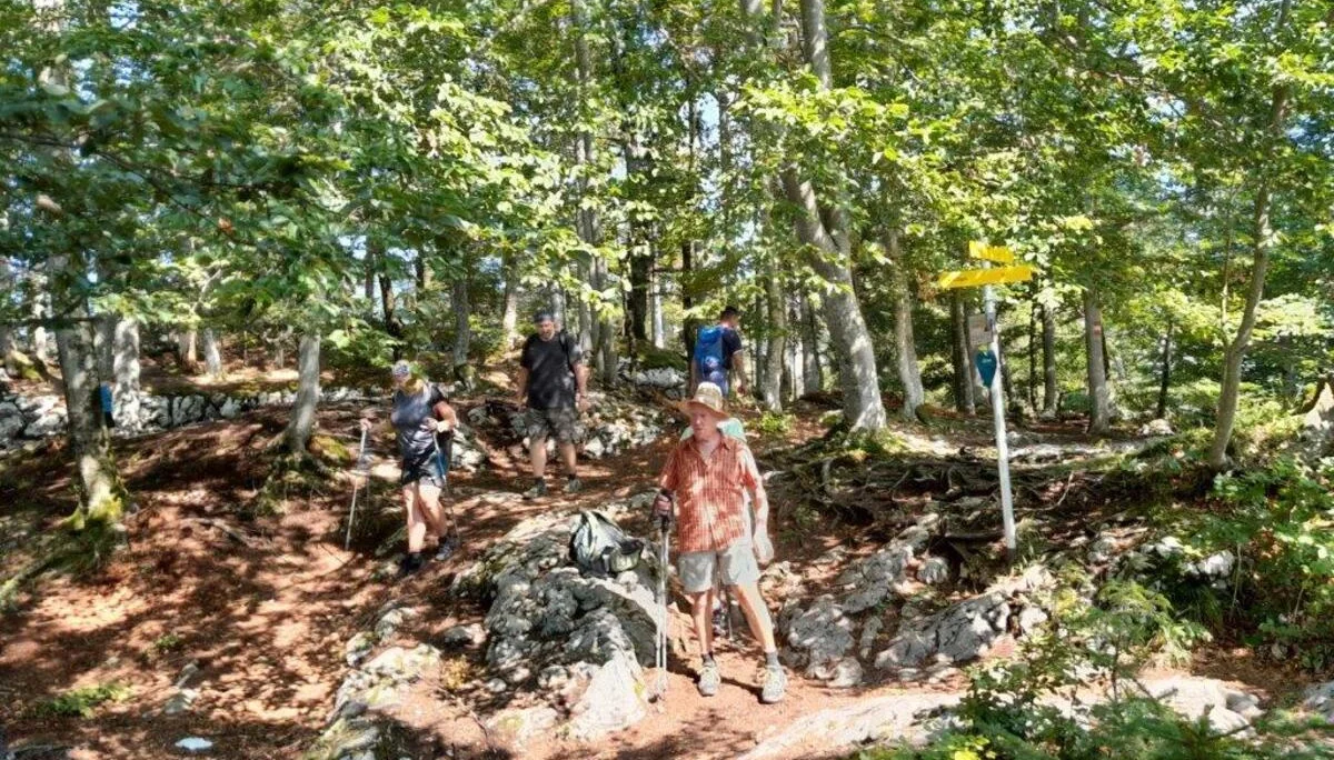 Plombergstein  | © DAV Laufen