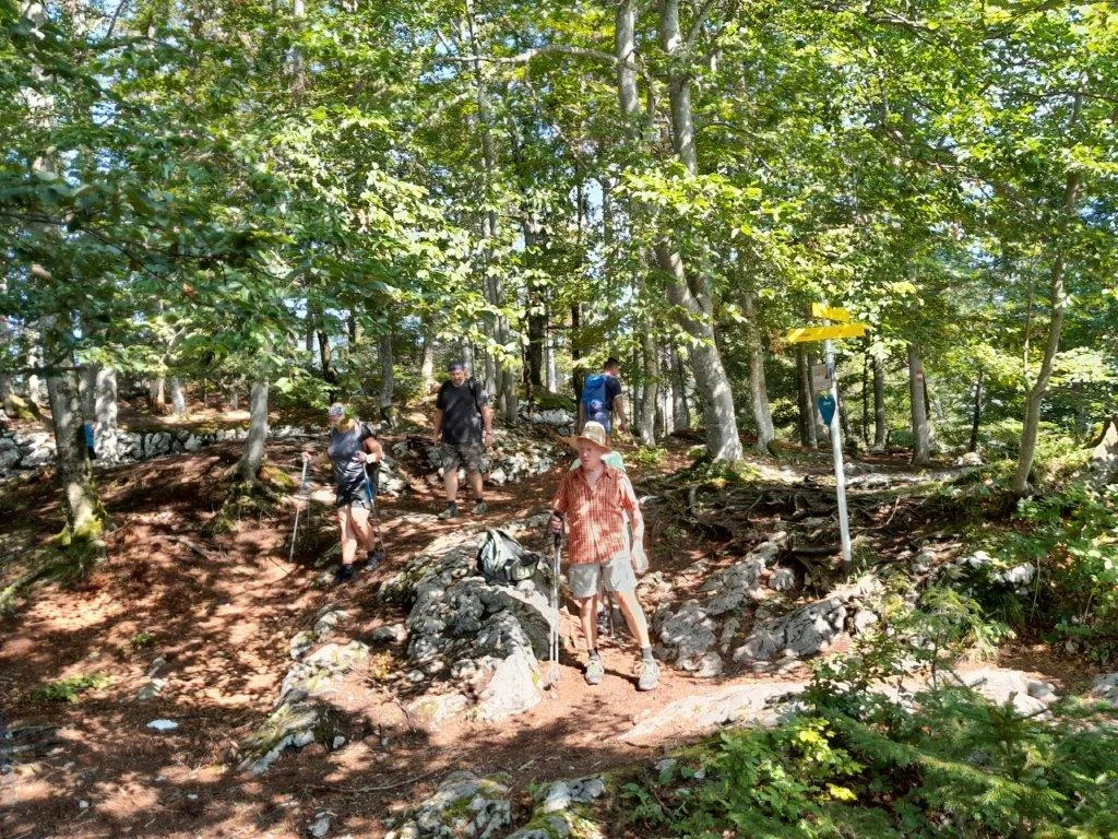 Plombergstein  | © DAV Laufen