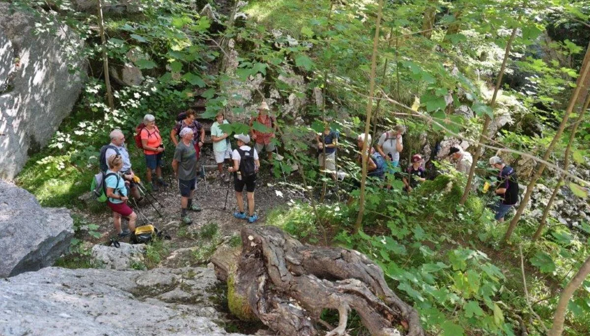 Plombergstein  | © DAV Laufen