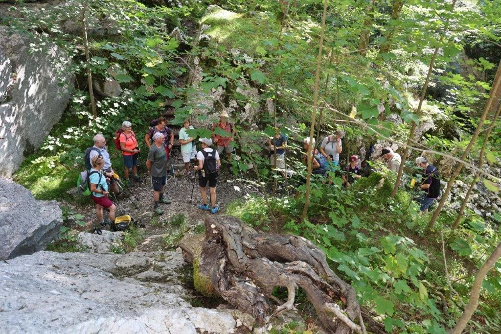 Plombergstein  | © DAV Laufen