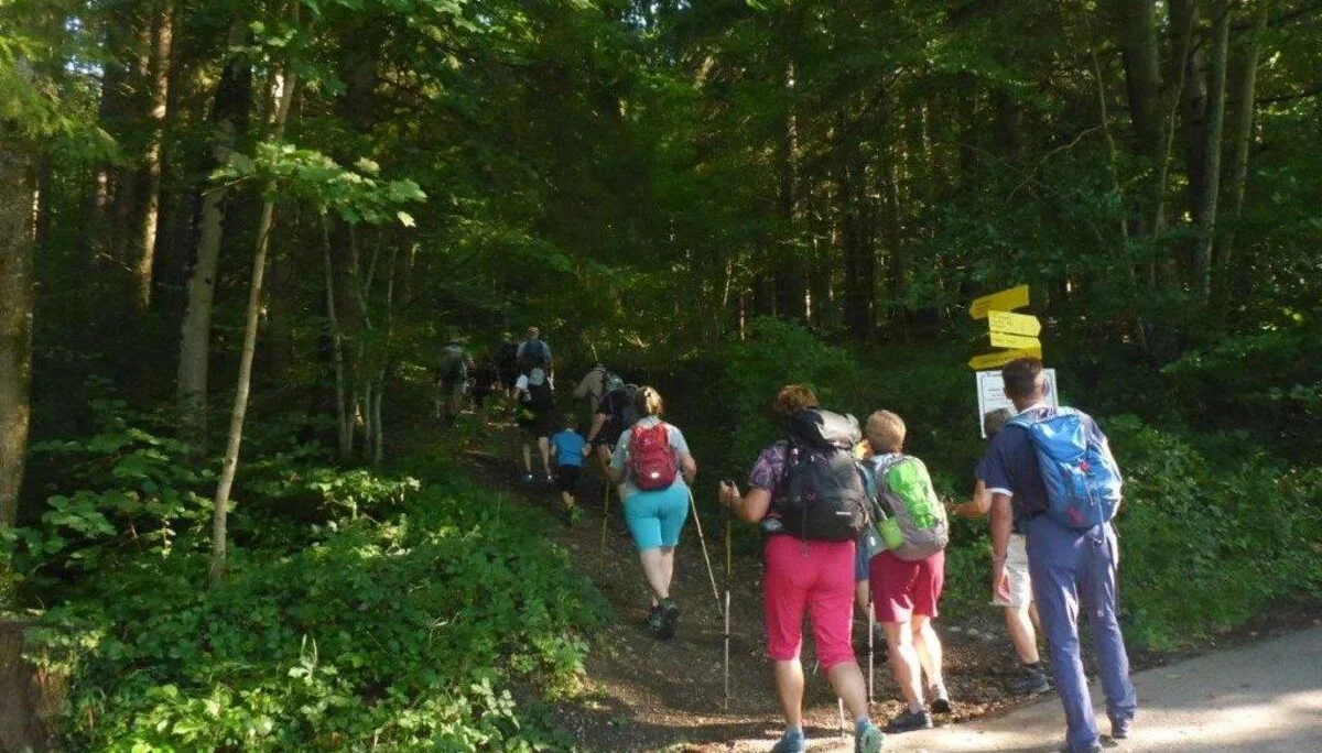 Plombergstein  | © DAV Laufen