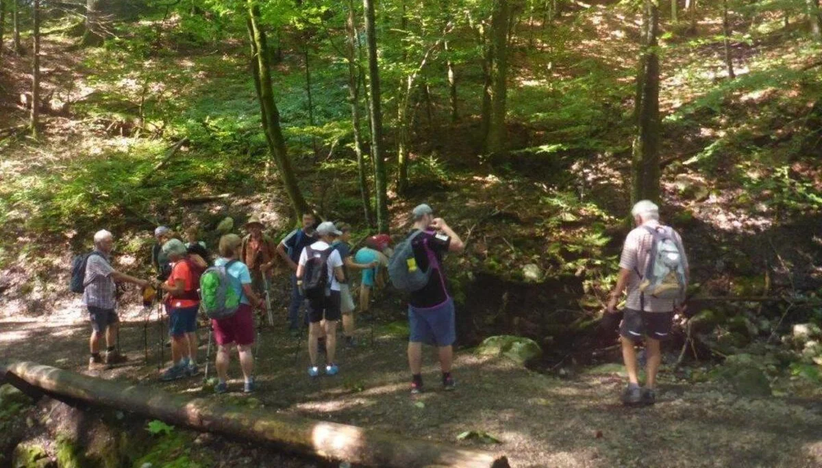 Plombergstein  | © DAV Laufen