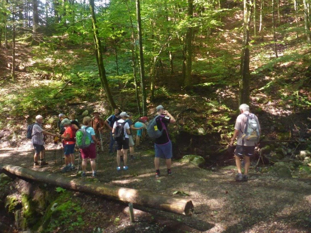 Plombergstein  | © DAV Laufen