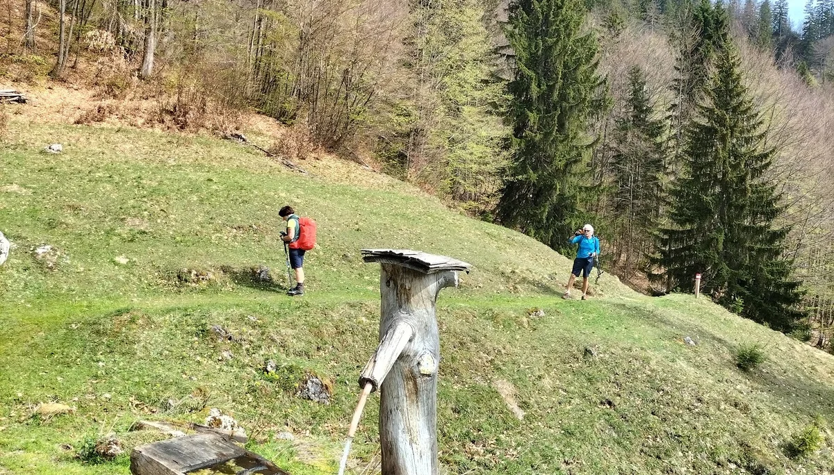 Törlkopf | © DAV Laufen