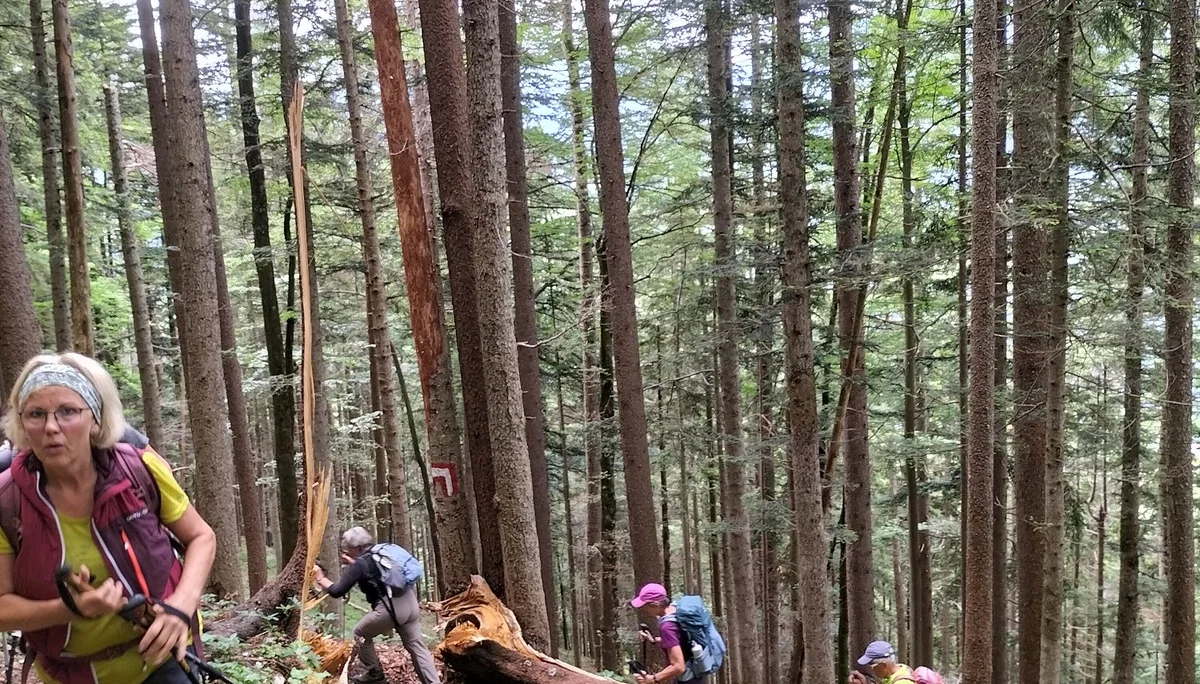 Tabor | © DAV Laufen