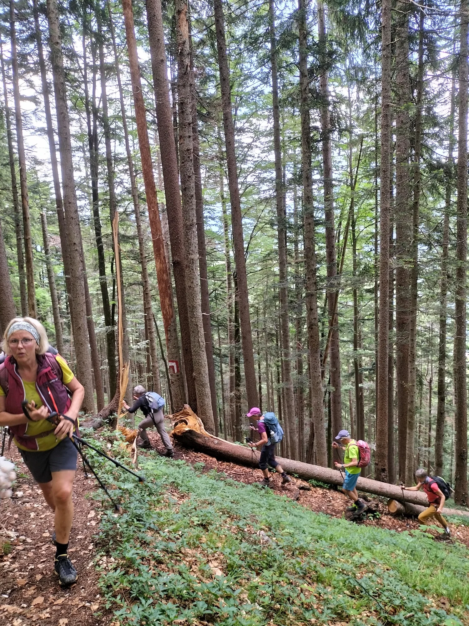 Tabor | © DAV Laufen