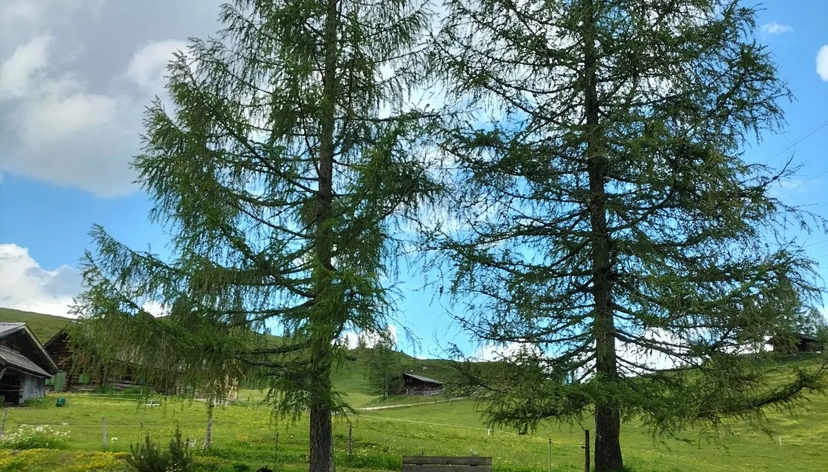 Tabor | © DAV Laufen