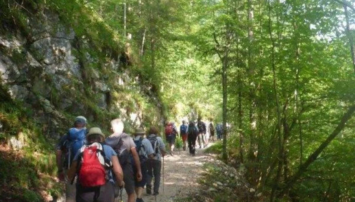 Almgangerl zur Bichleralm | © DAV Laufen