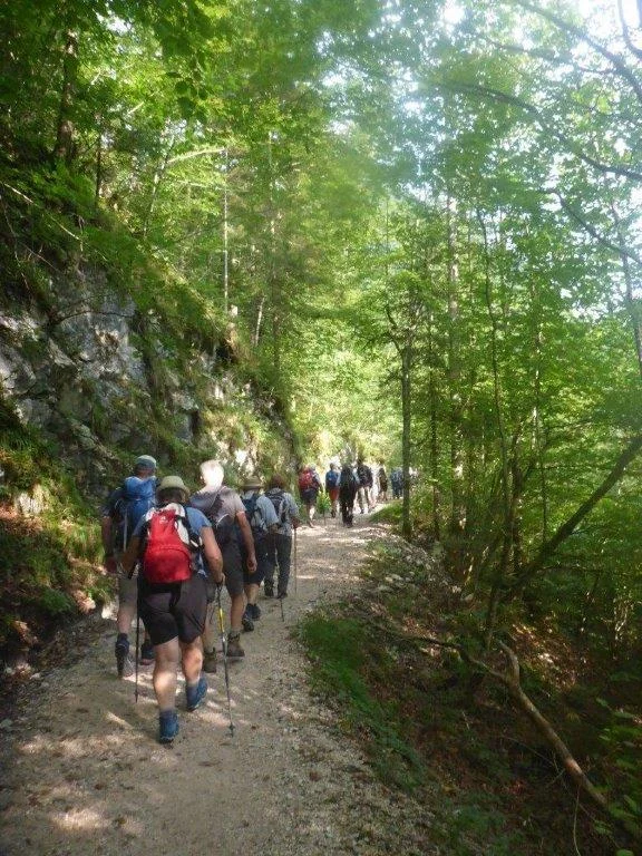 Almgangerl zur Bichleralm | © DAV Laufen