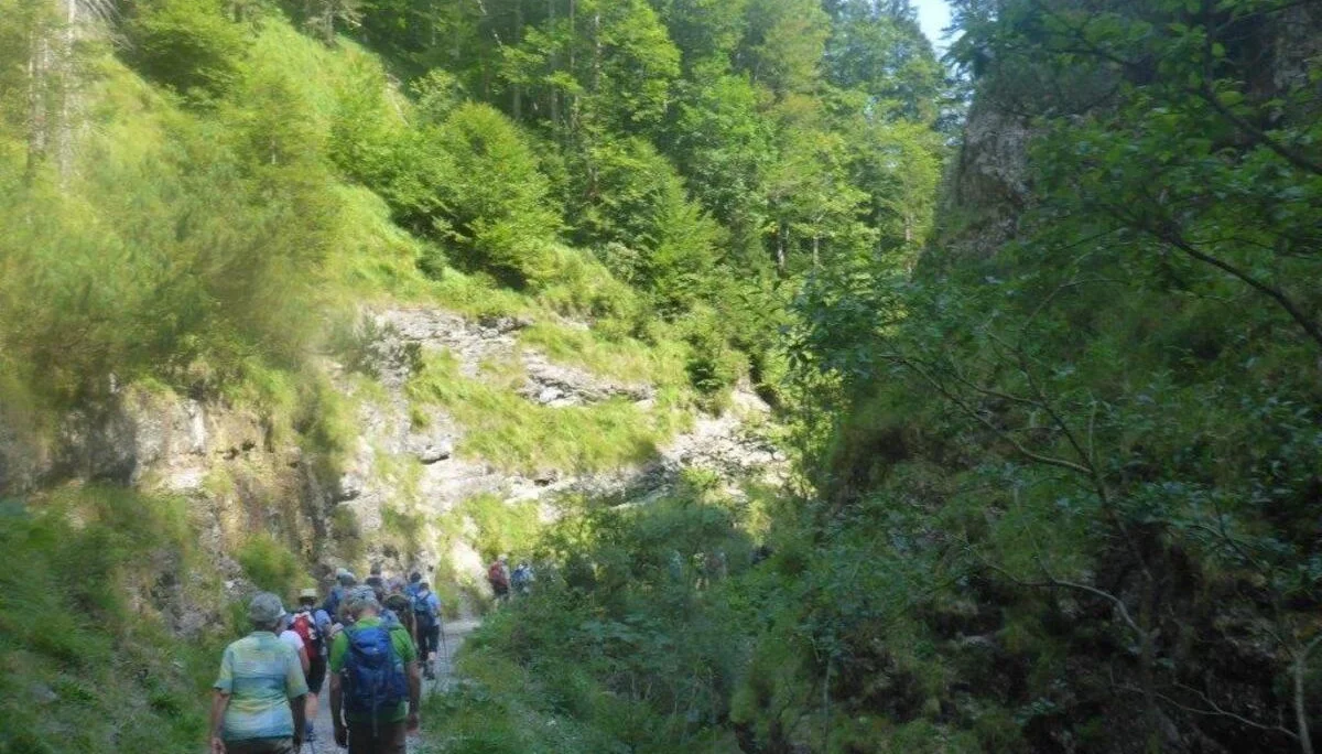 Almgangerl zur Bichleralm | © DAV Laufen