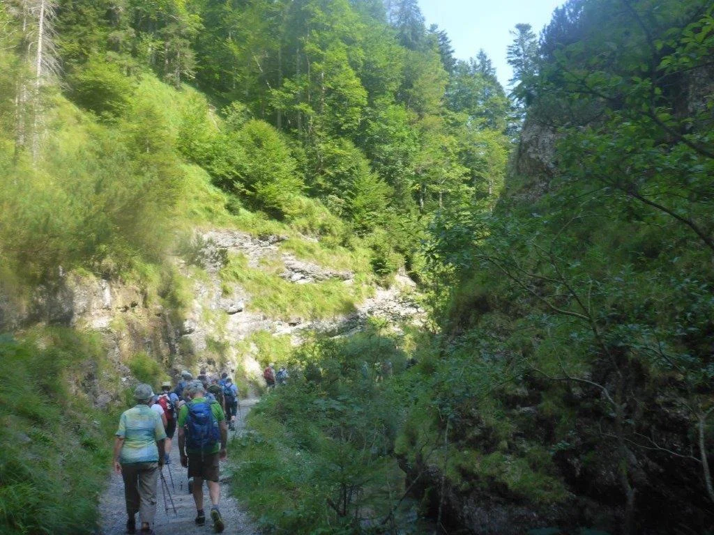 Almgangerl zur Bichleralm | © DAV Laufen