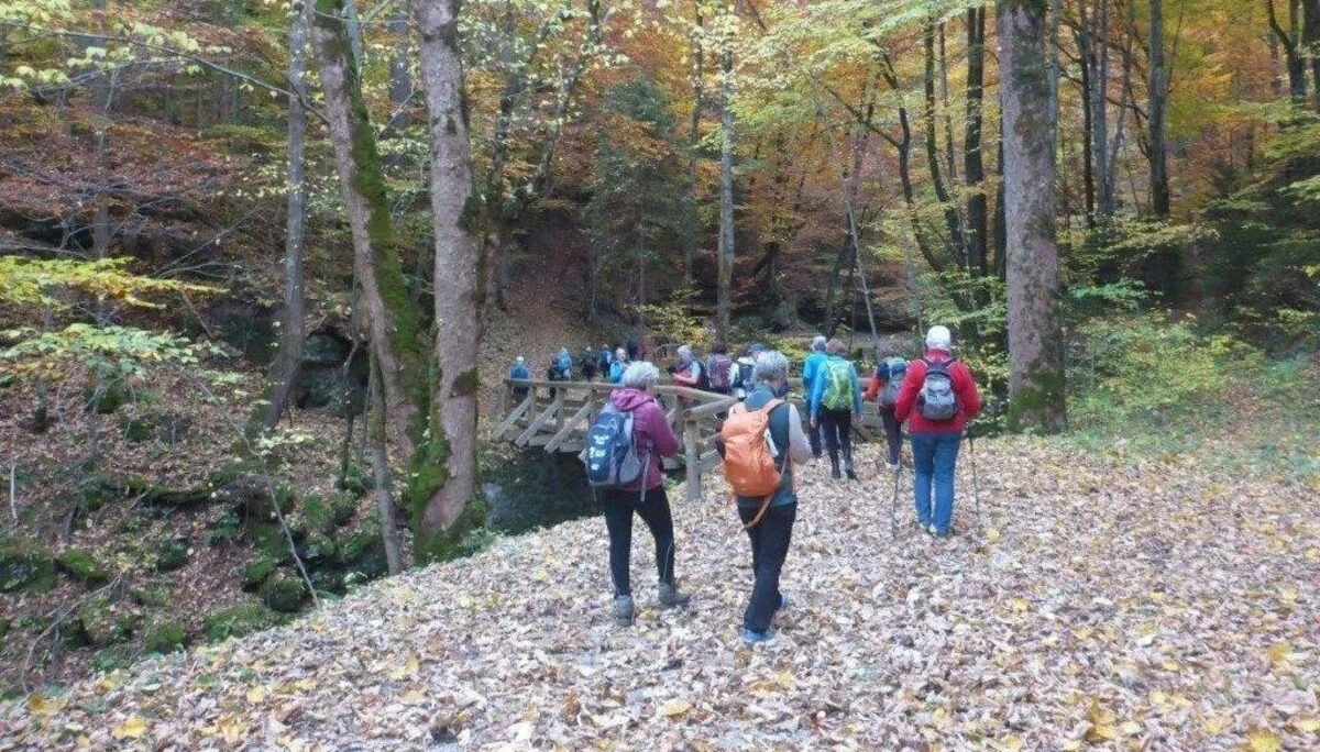 Almgangerl Wartstein | © DAV Laufen