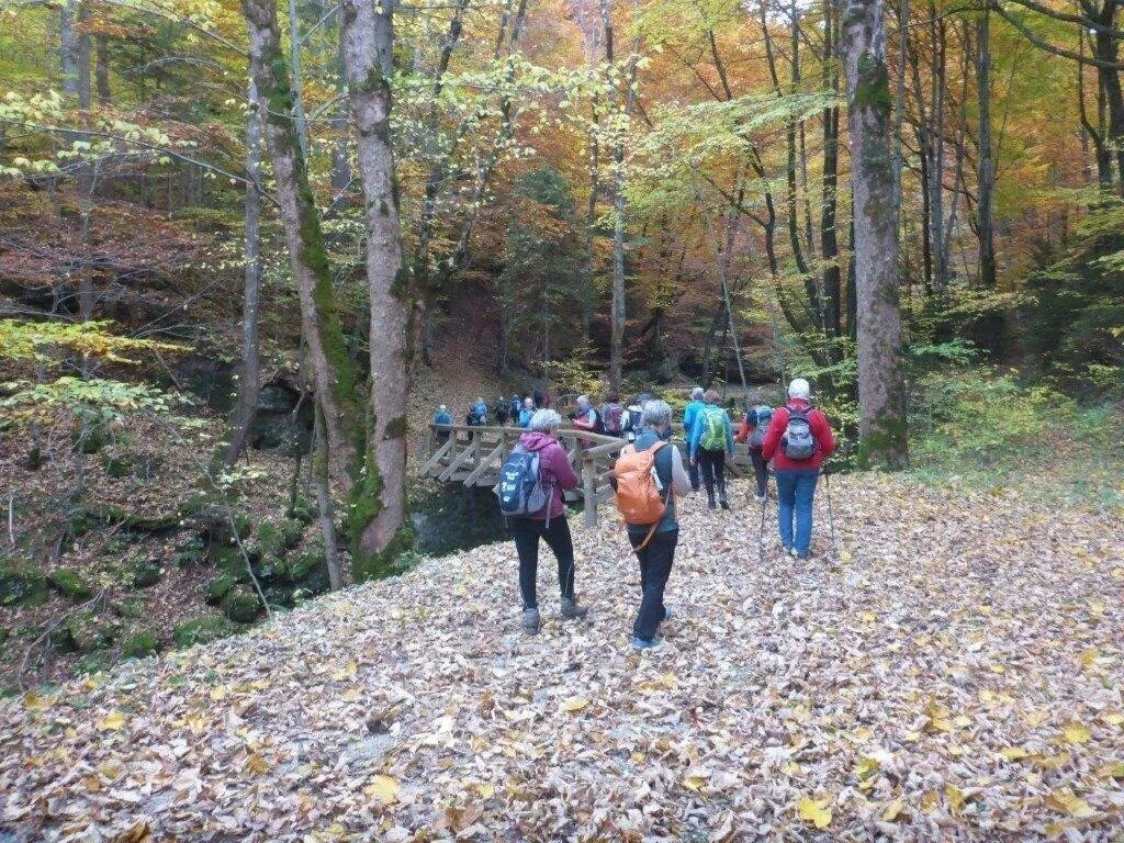 Almgangerl Wartstein | © DAV Laufen
