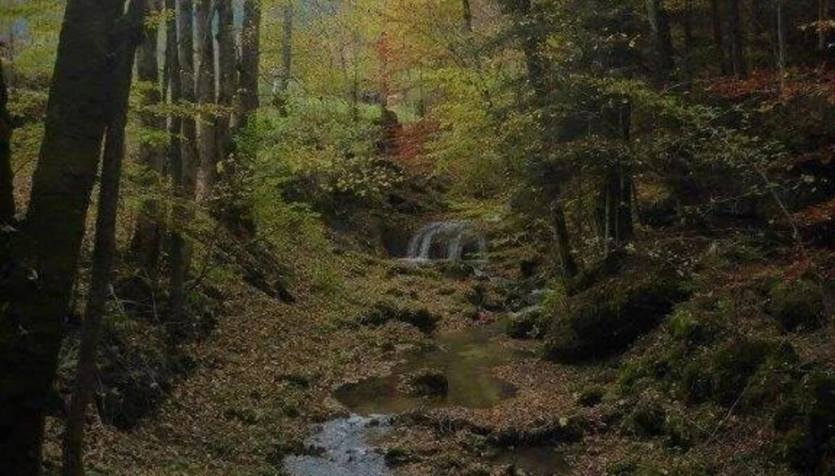 Almgangerl Wartstein | © DAV Laufen