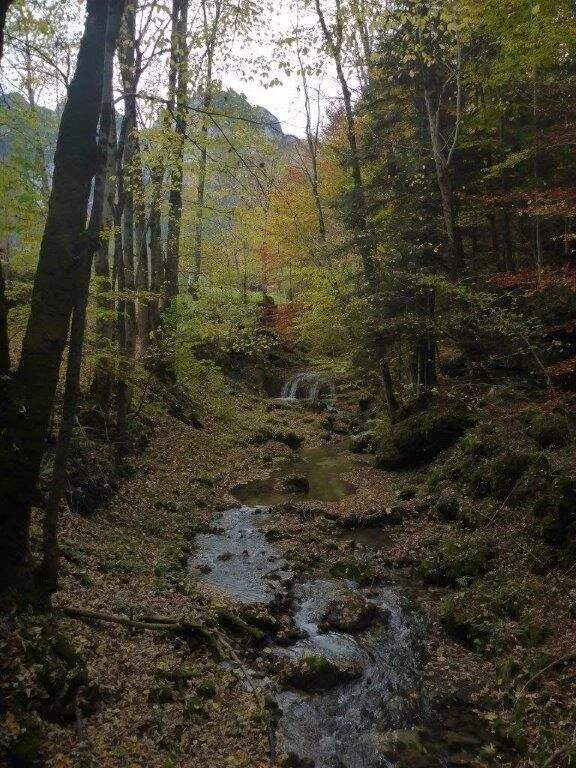 Almgangerl Wartstein | © DAV Laufen