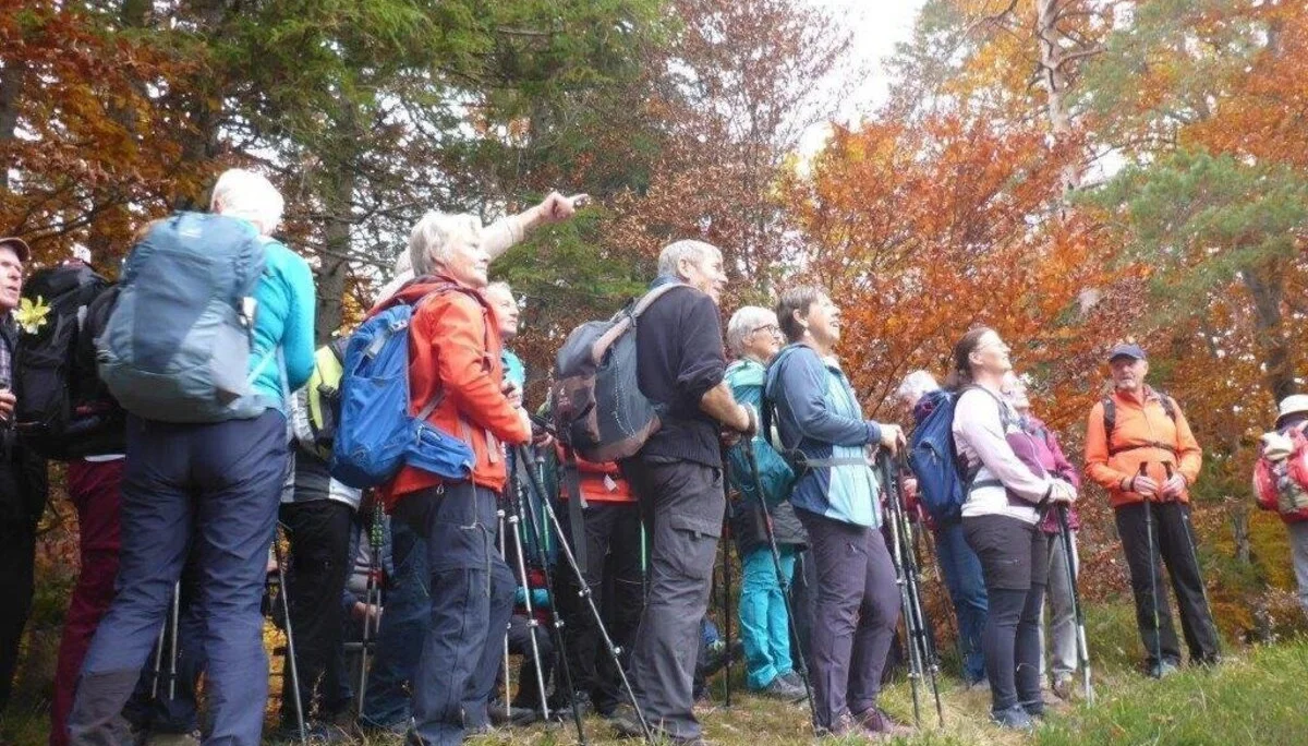 Almgangerl Wartstein | © DAV Laufen