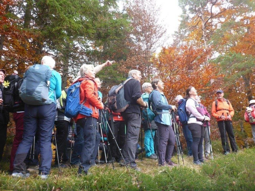 Almgangerl Wartstein | © DAV Laufen