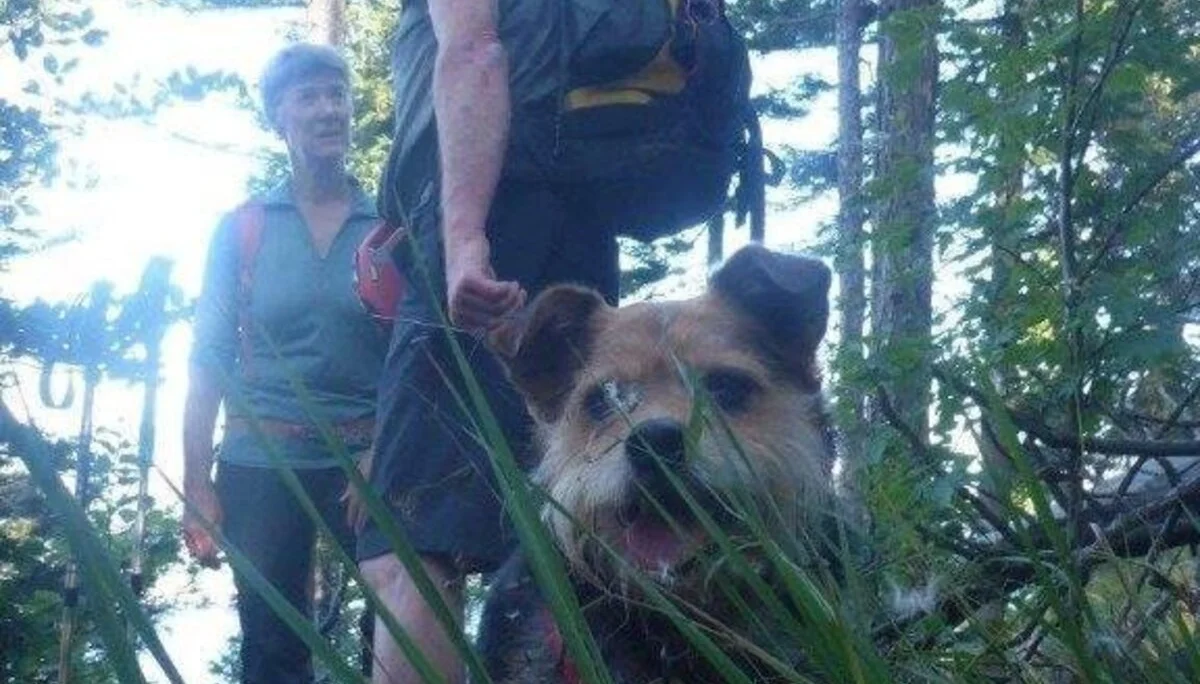 Almgangerl Schoberstein | © DAV Laufen