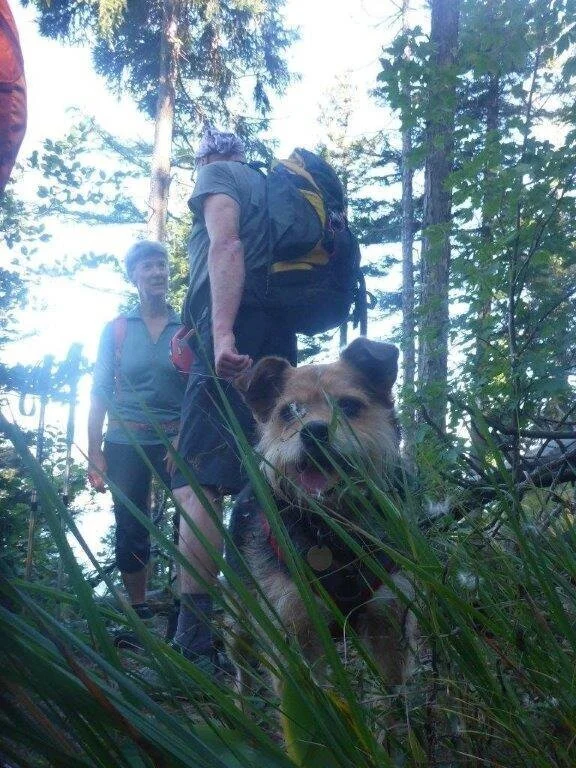 Almgangerl Schoberstein | © DAV Laufen