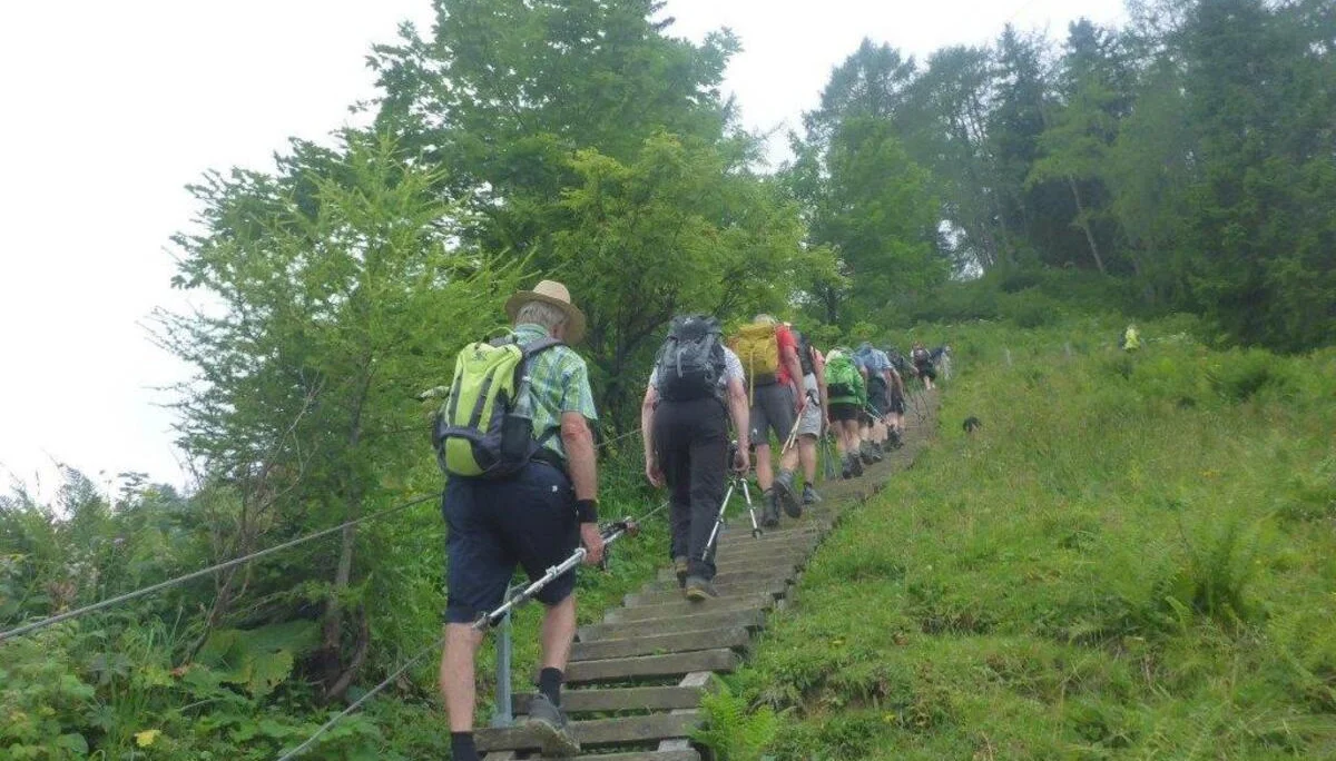 Almgangerl aufs Purtschellerhaus (1692 m) | © DAV Laufen