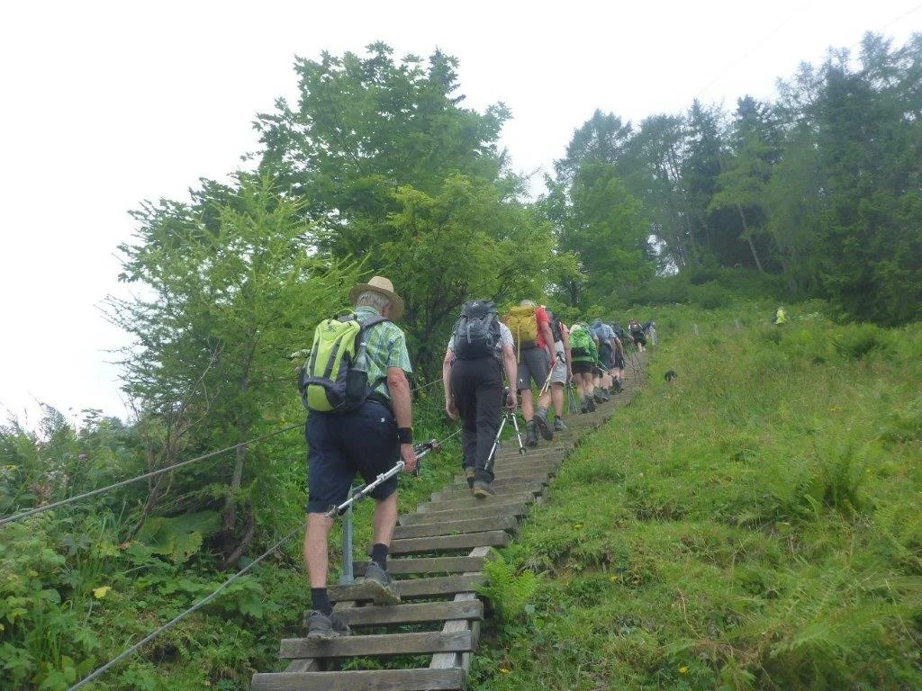 Almgangerl aufs Purtschellerhaus (1692 m) | © DAV Laufen