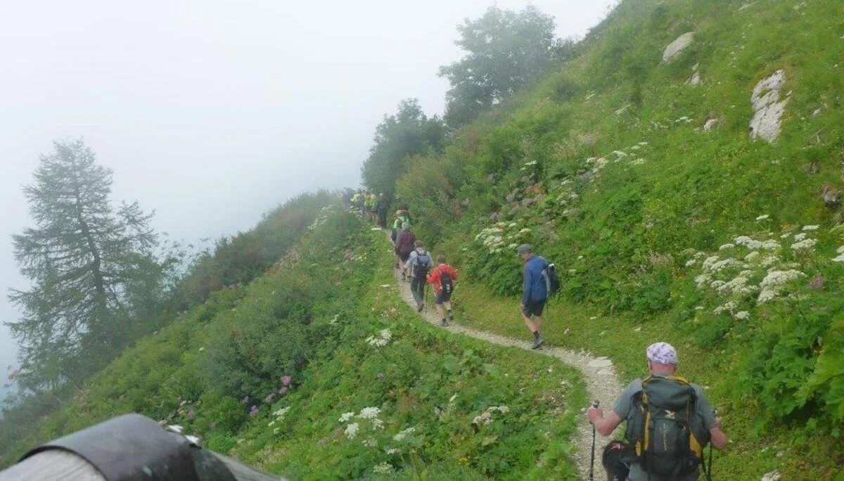 Almgangerl aufs Purtschellerhaus (1692 m) | © DAV Laufen