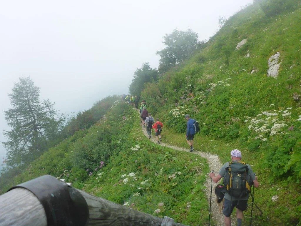 Almgangerl aufs Purtschellerhaus (1692 m) | © DAV Laufen