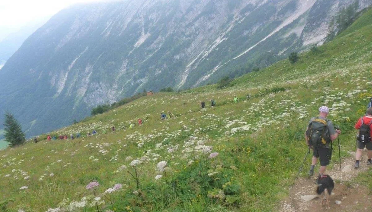 Almgangerl aufs Purtschellerhaus (1692 m) | © DAV Laufen