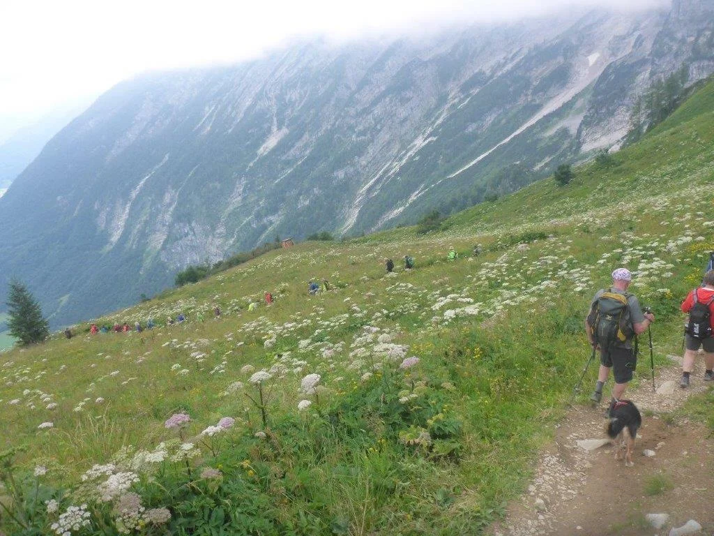 Almgangerl aufs Purtschellerhaus (1692 m) | © DAV Laufen