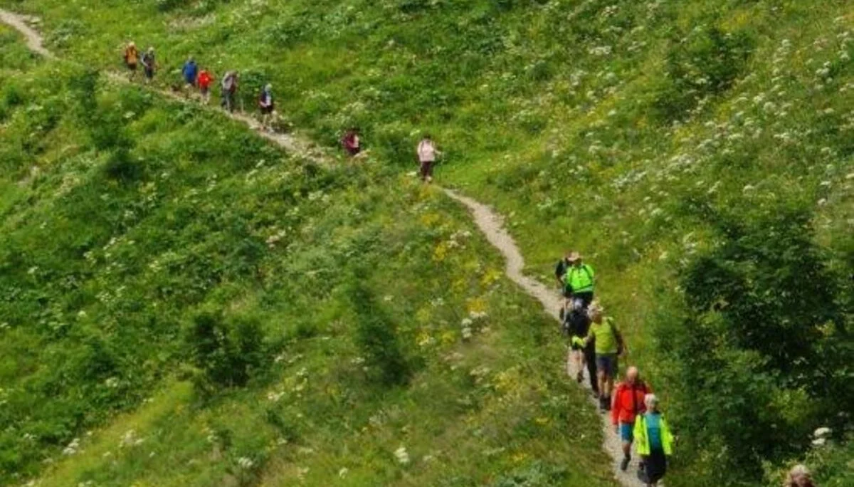 Almgangerl aufs Purtschellerhaus (1692 m) | © DAV Laufen
