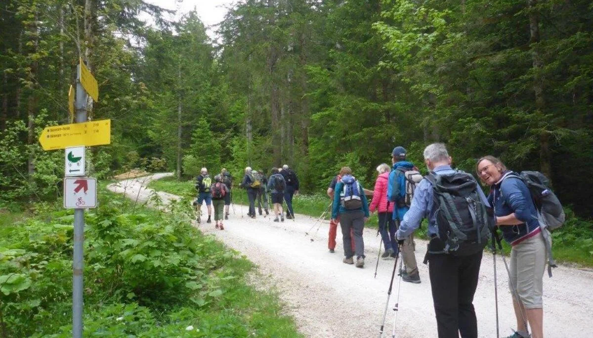 Bäckeralm | © DAV Laufen