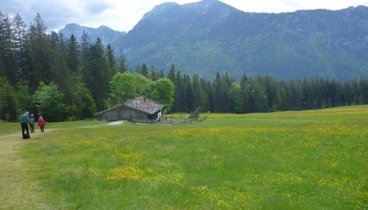 Bäckeralm | © DAV Laufen