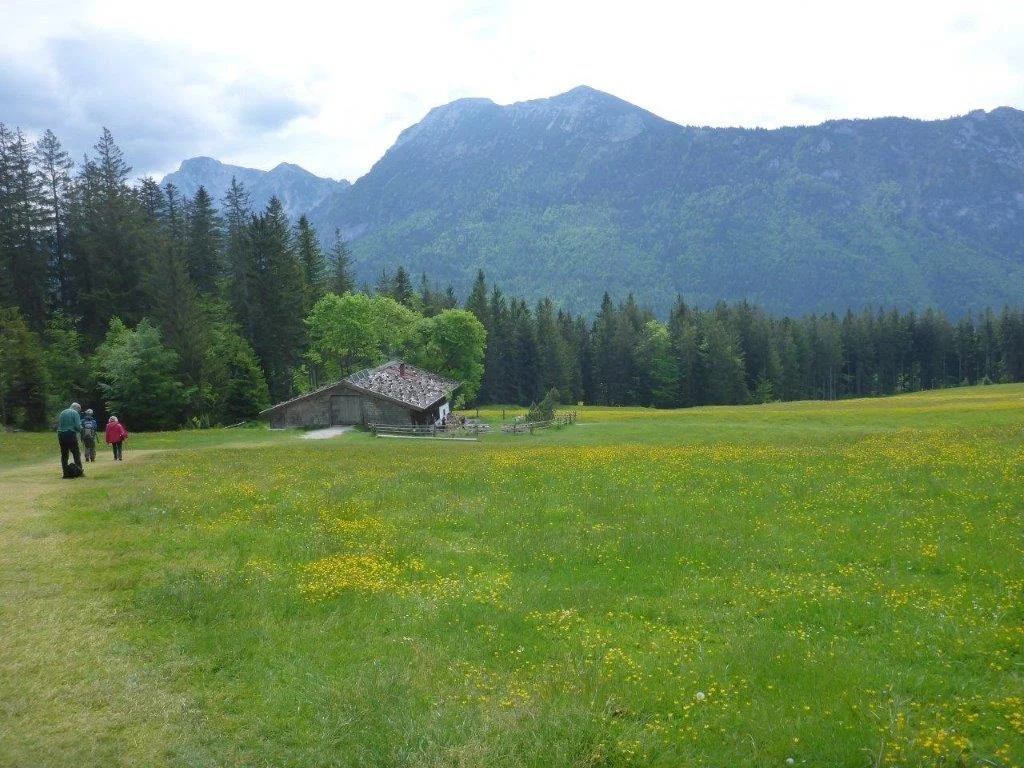 Bäckeralm | © DAV Laufen